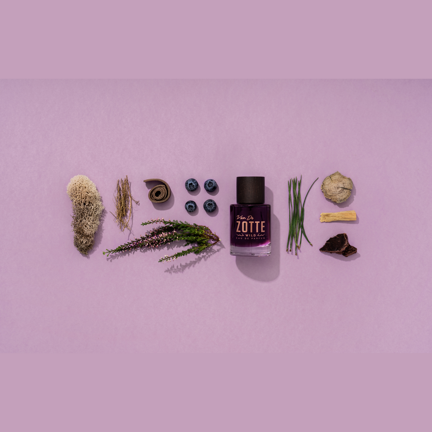 Wild <br> VAN DE ZOTTE