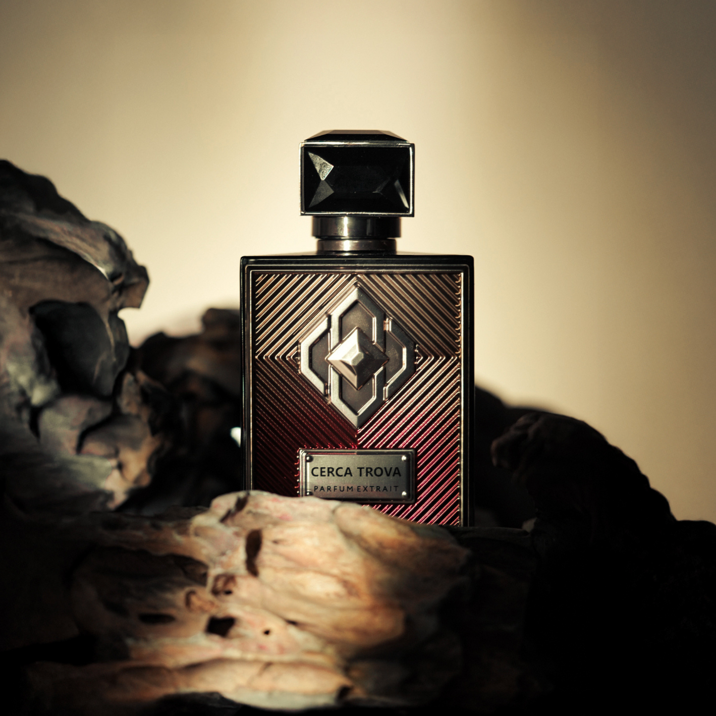 Cerca Trova <br> AQUILARIA LUMINOIR