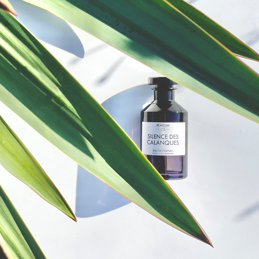 Silence des Calanques <br> AEMIUM