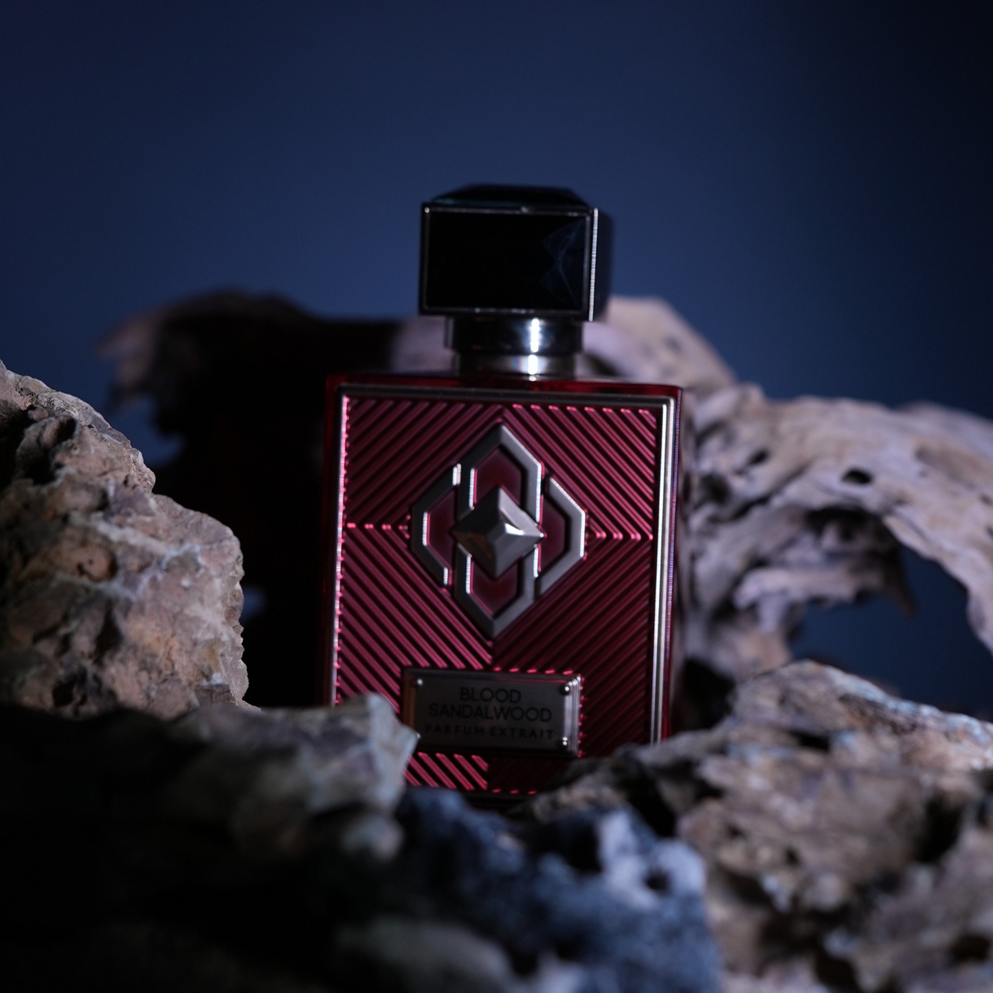 Blood Sandalwood <br> AQUILARIA LUMINOIR