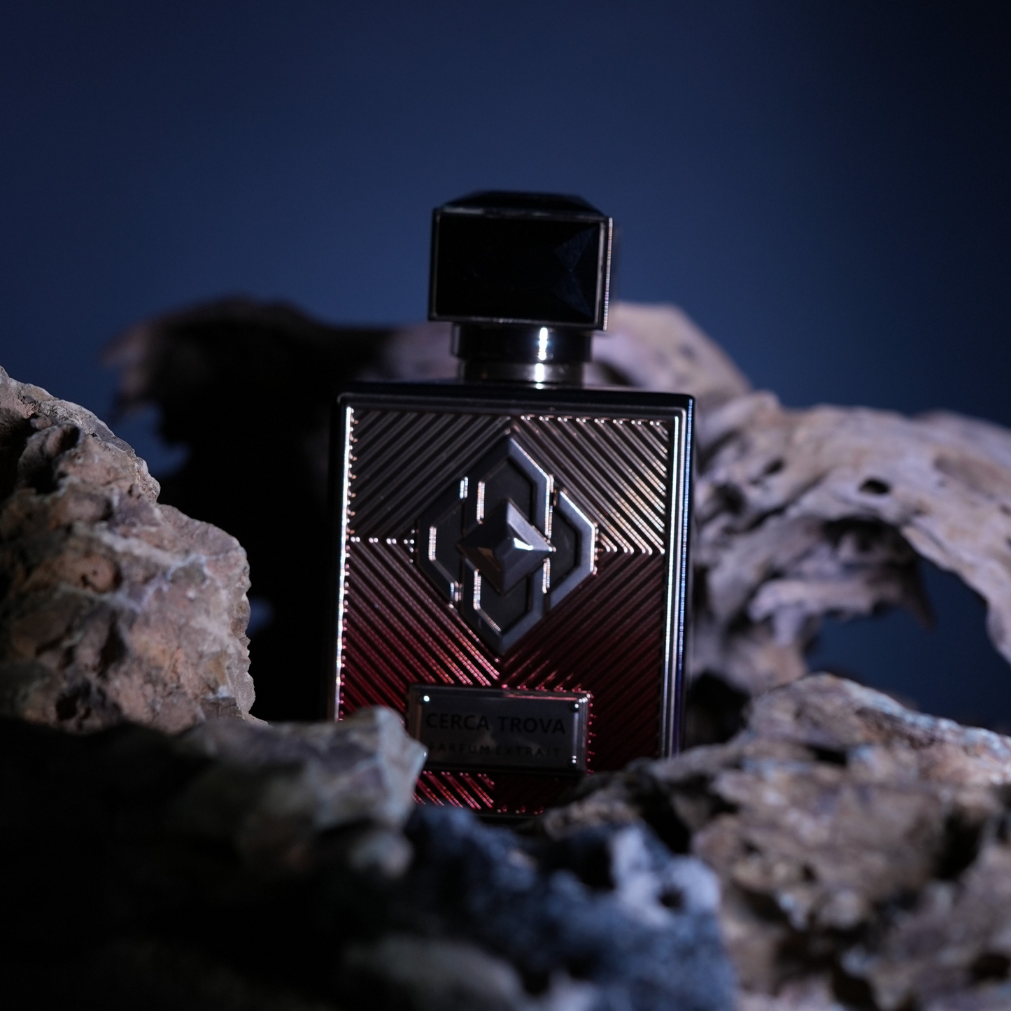 Cerca Trova <br> AQUILARIA LUMINOIR