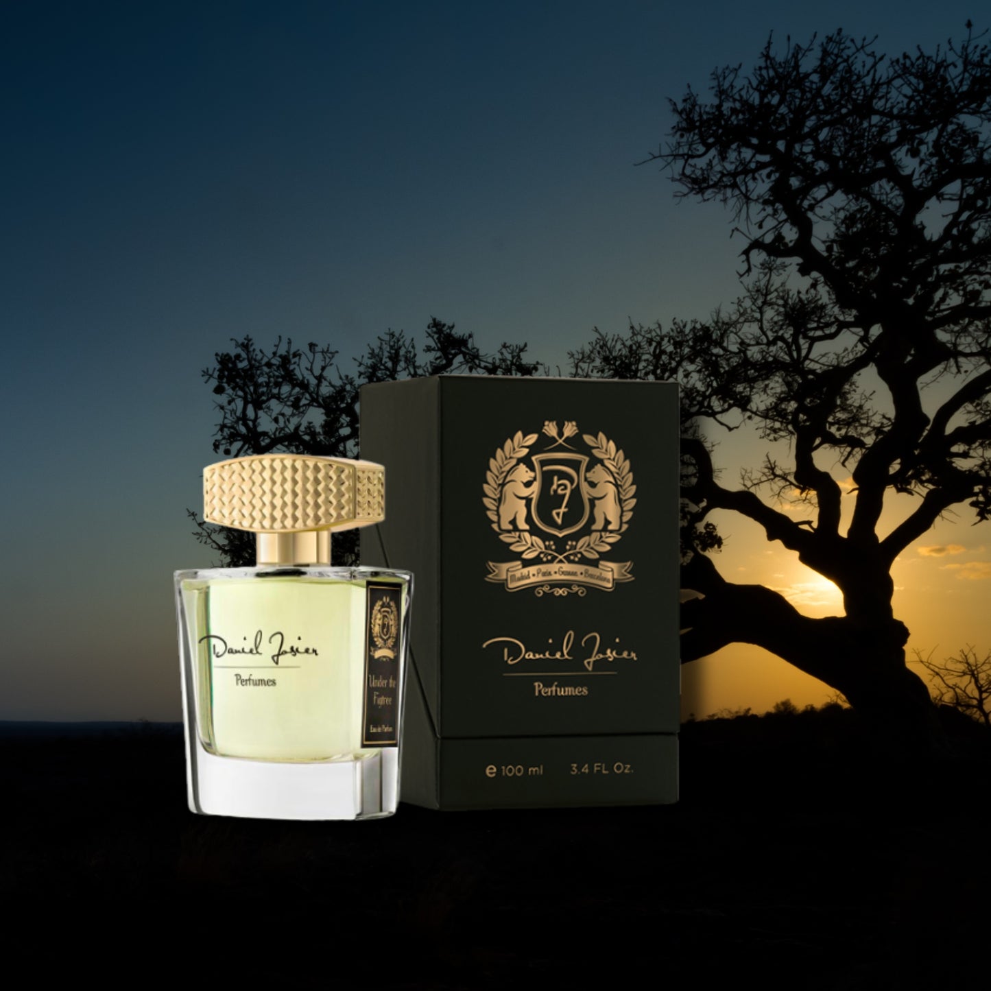 Under the Figtree <br> Daniel Josier