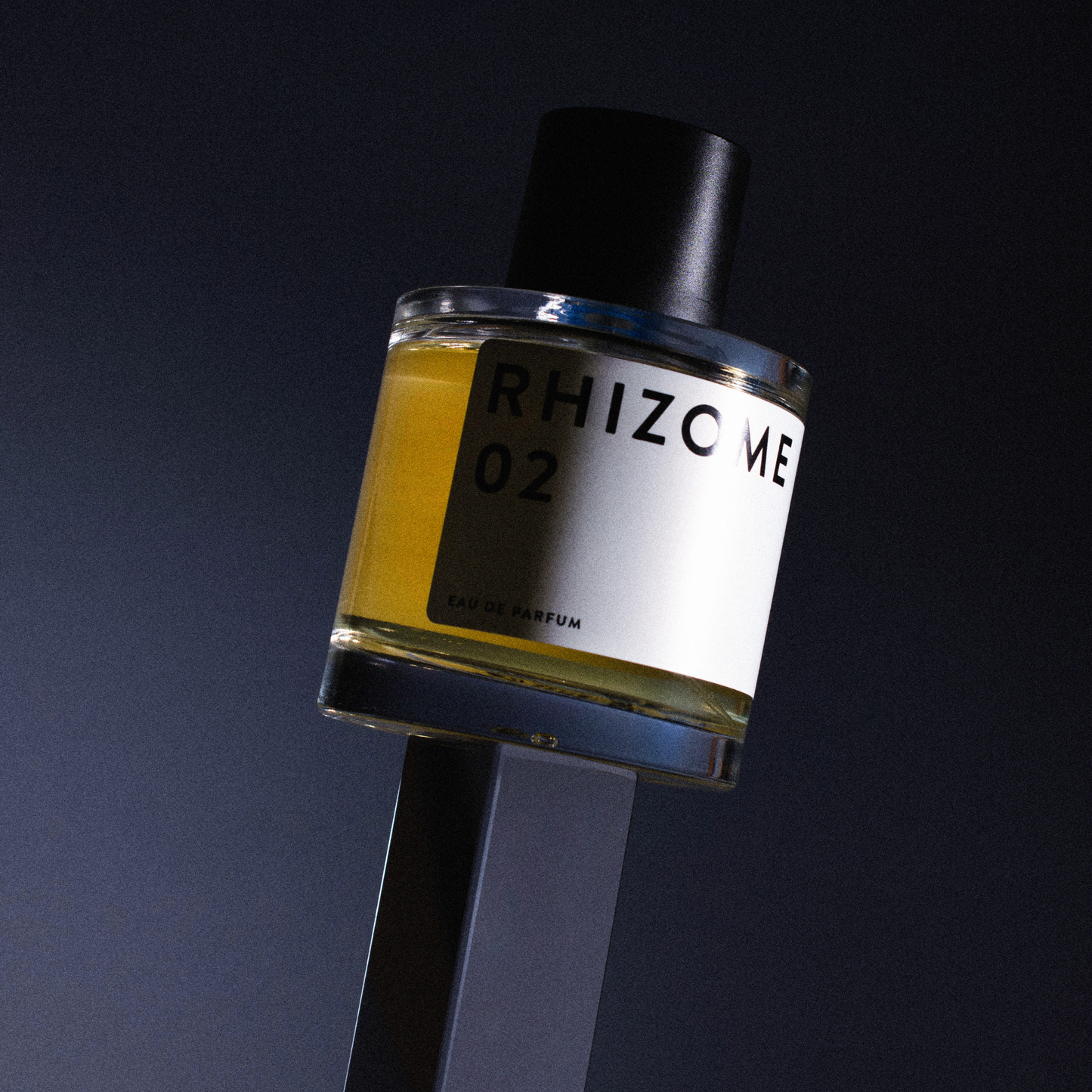 Essential 02 <br> RHIZOME
