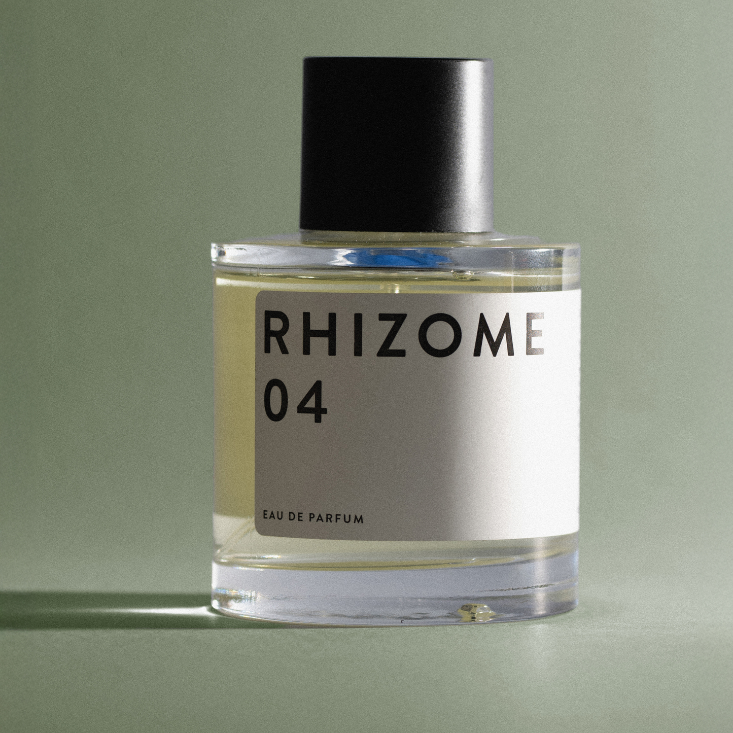 Essential 04 <br> RHIZOME