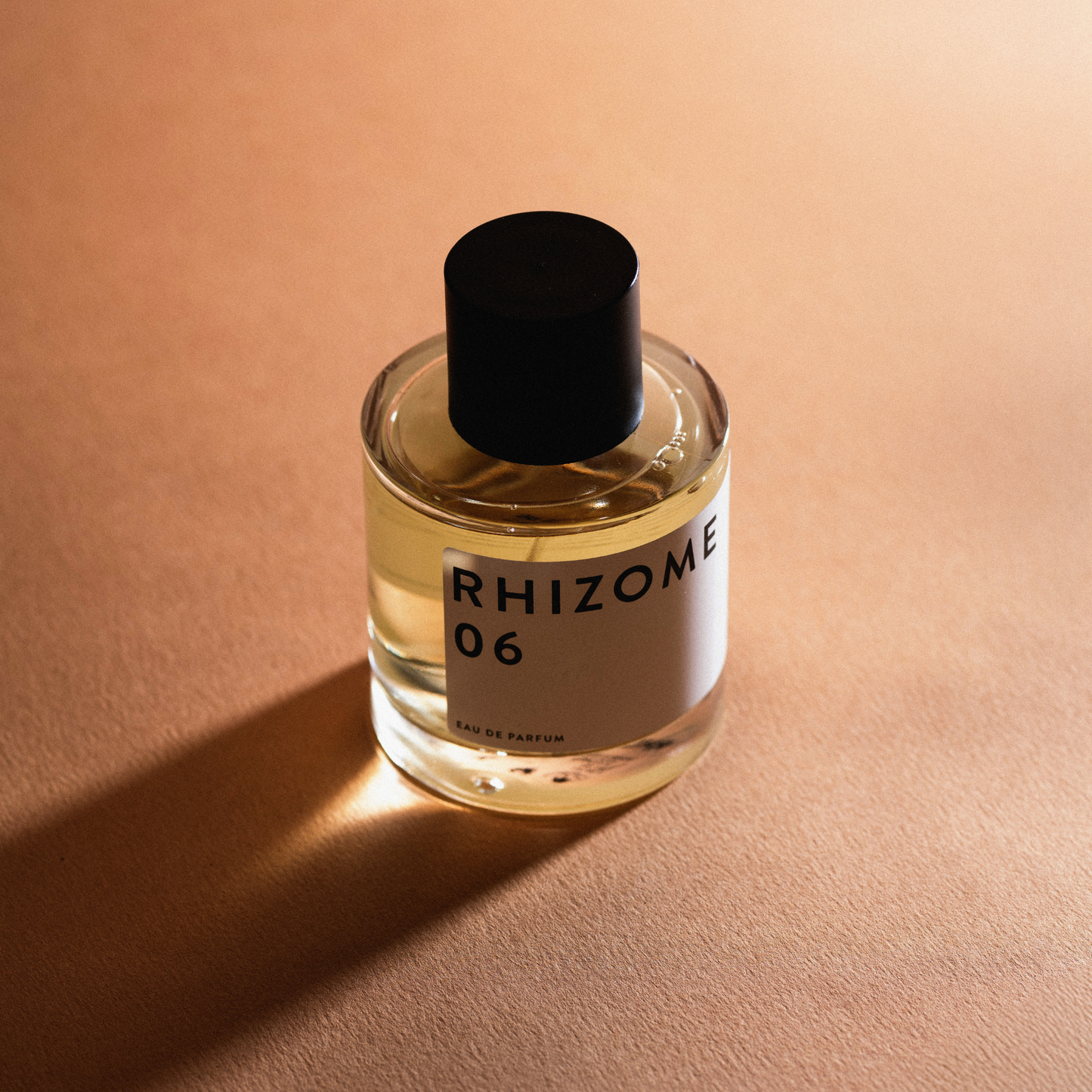 Essential 06 <br> RHIZOME