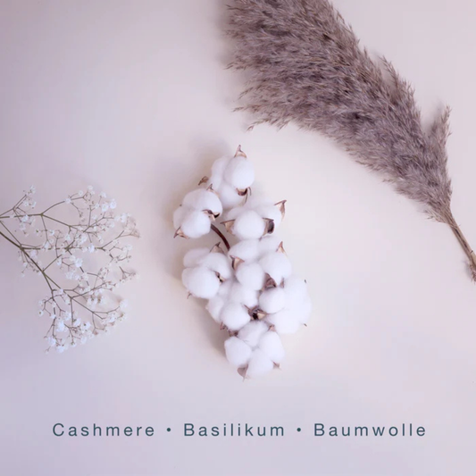 Cosy Blanket <br> SCENTORIE.