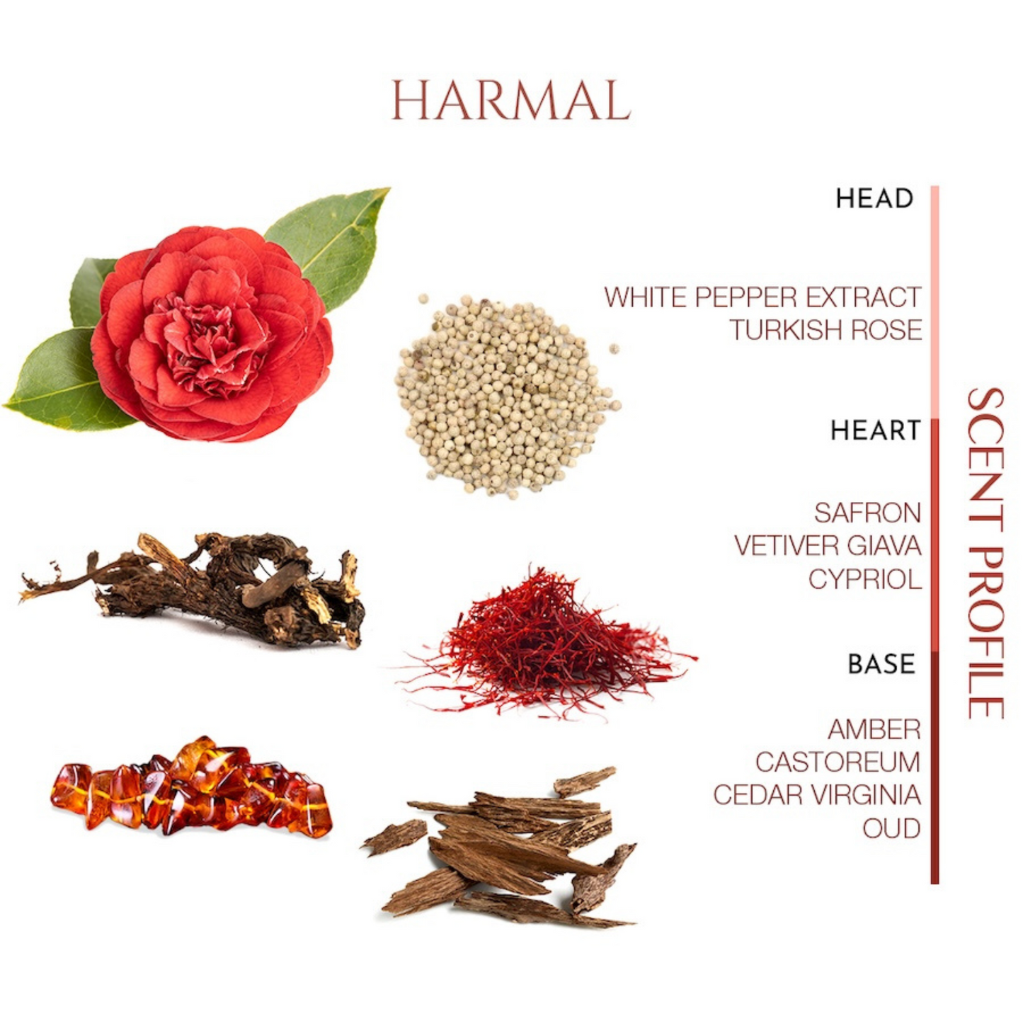 Harmal <br> TEABALATER