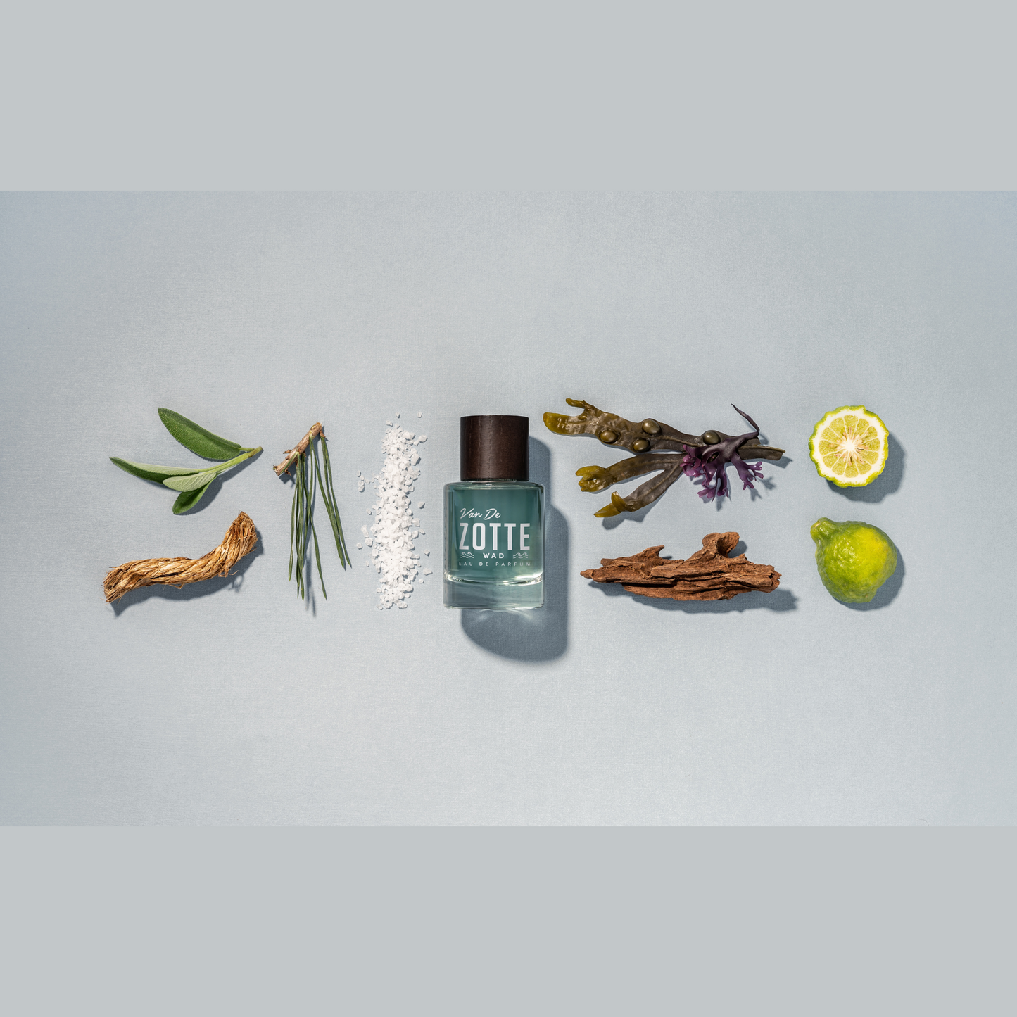 Wad <br> VAN DE ZOTTE