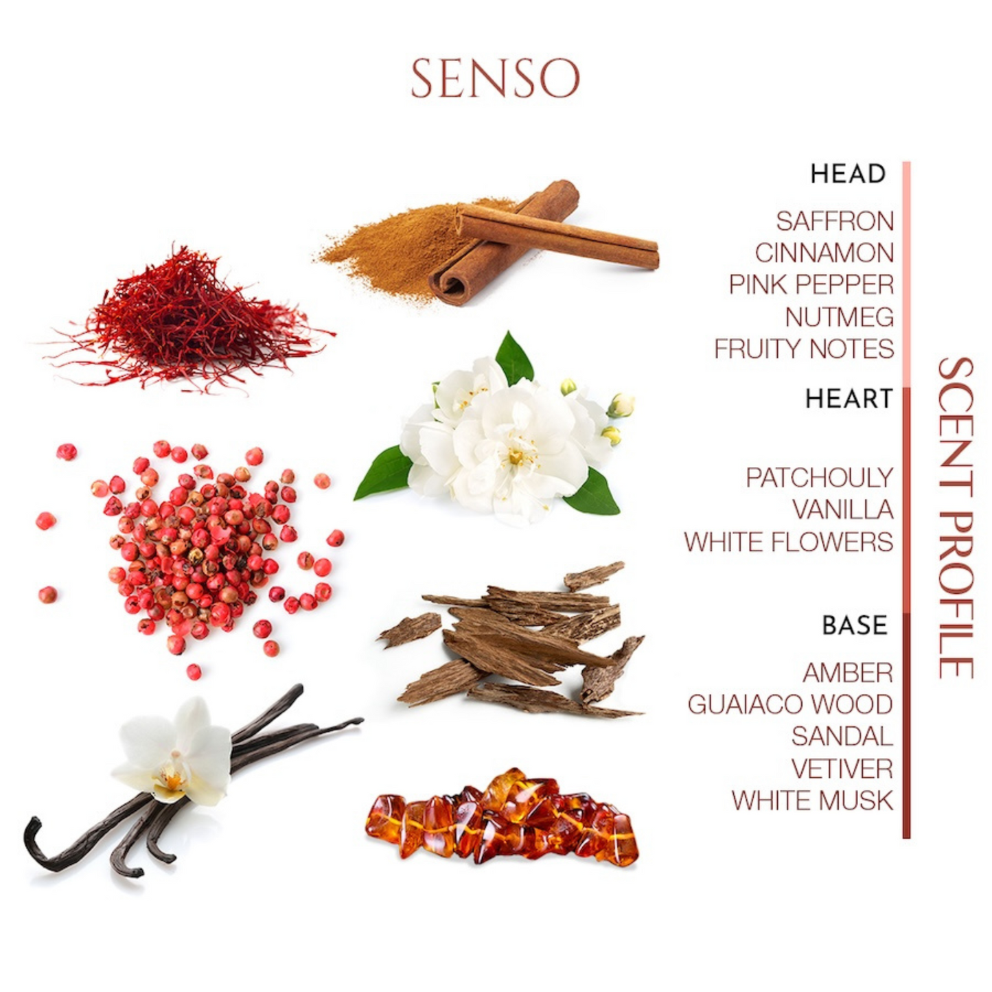 Senso <br> TEABALATER