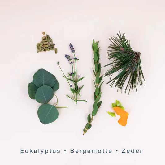 West Beach <br> SCENTORIE.