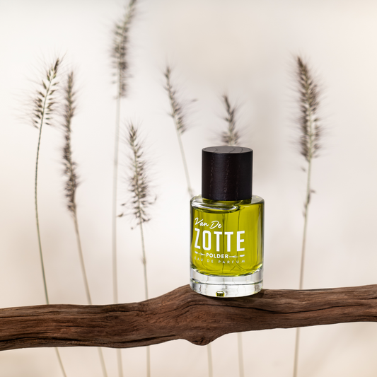 Polder <br> VAN DE ZOTTE