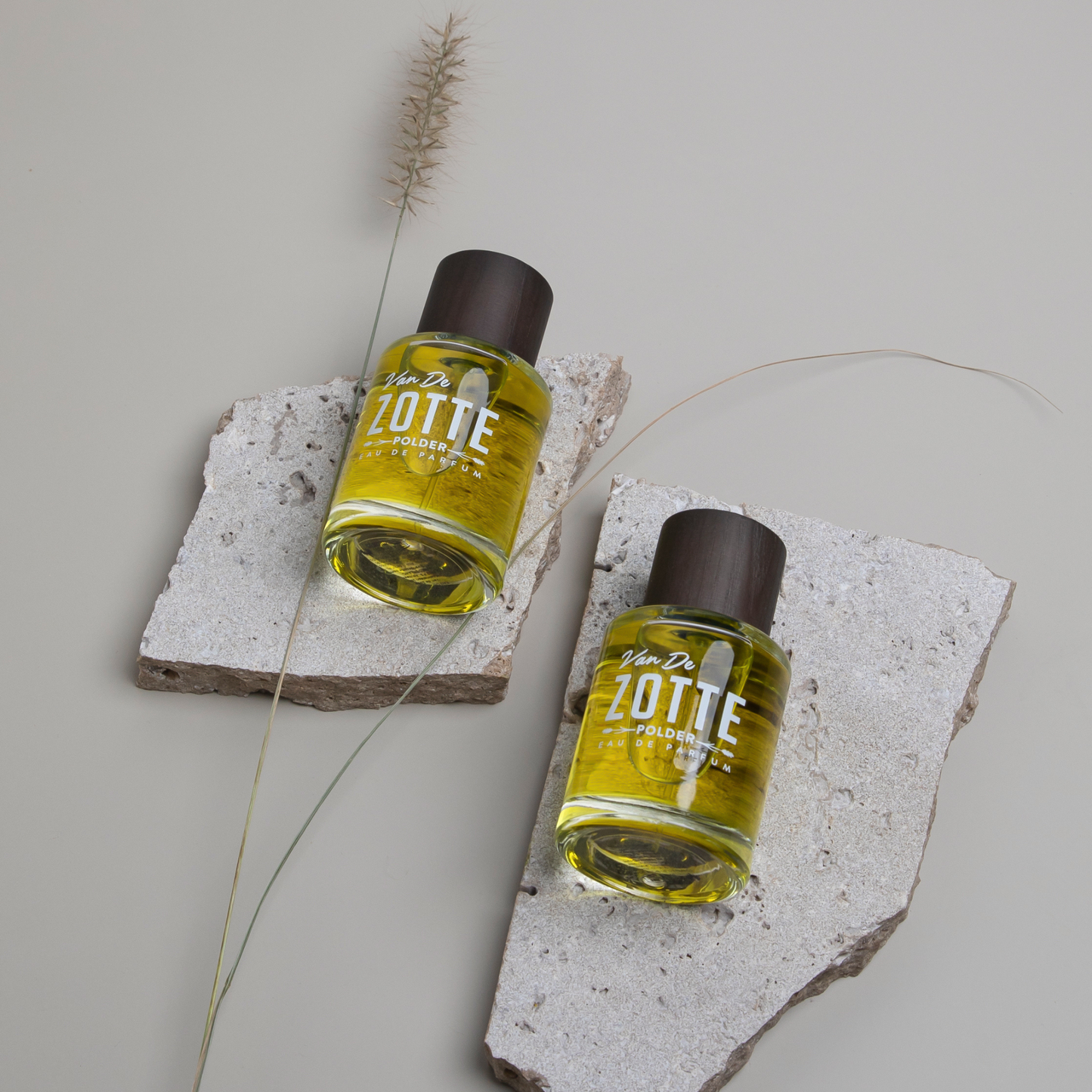 Polder <br> VAN DE ZOTTE