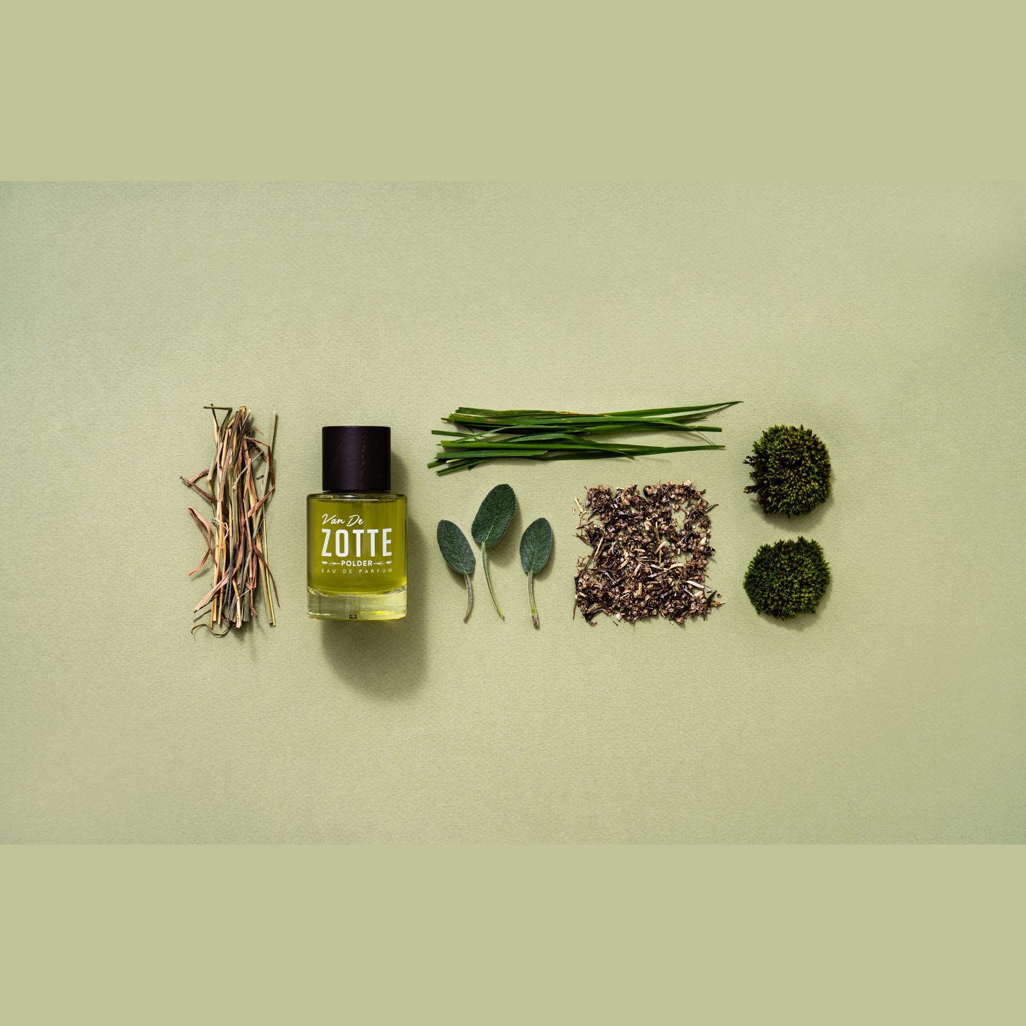 Polder <br> VAN DE ZOTTE