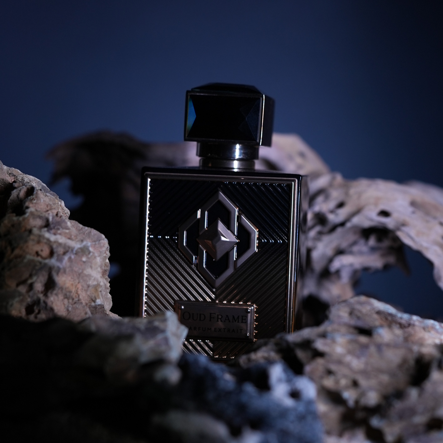 Oud Frame <br> AQUILARIA LUMINOIR