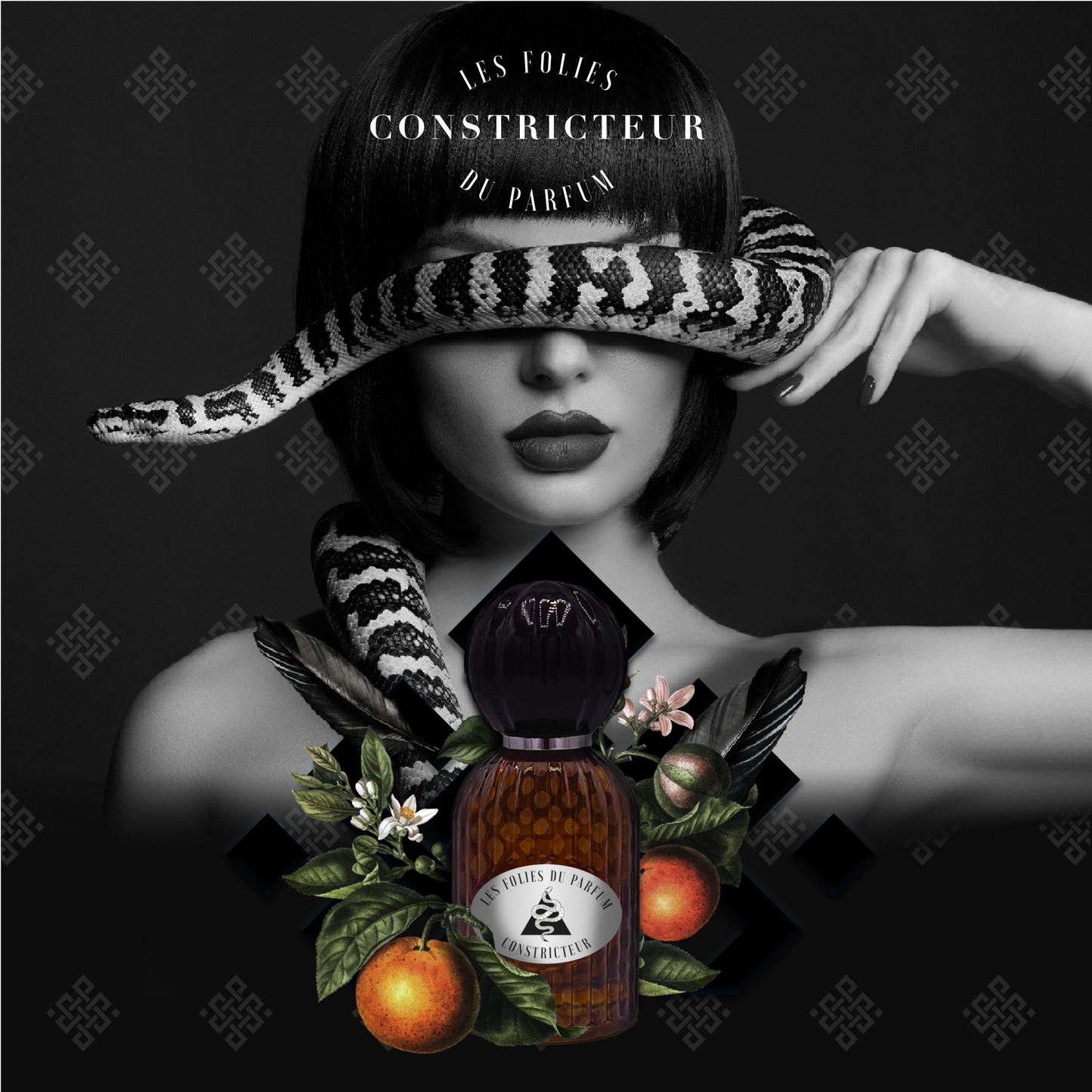 Constricteur <br> LES FOLIES DU PARFUM