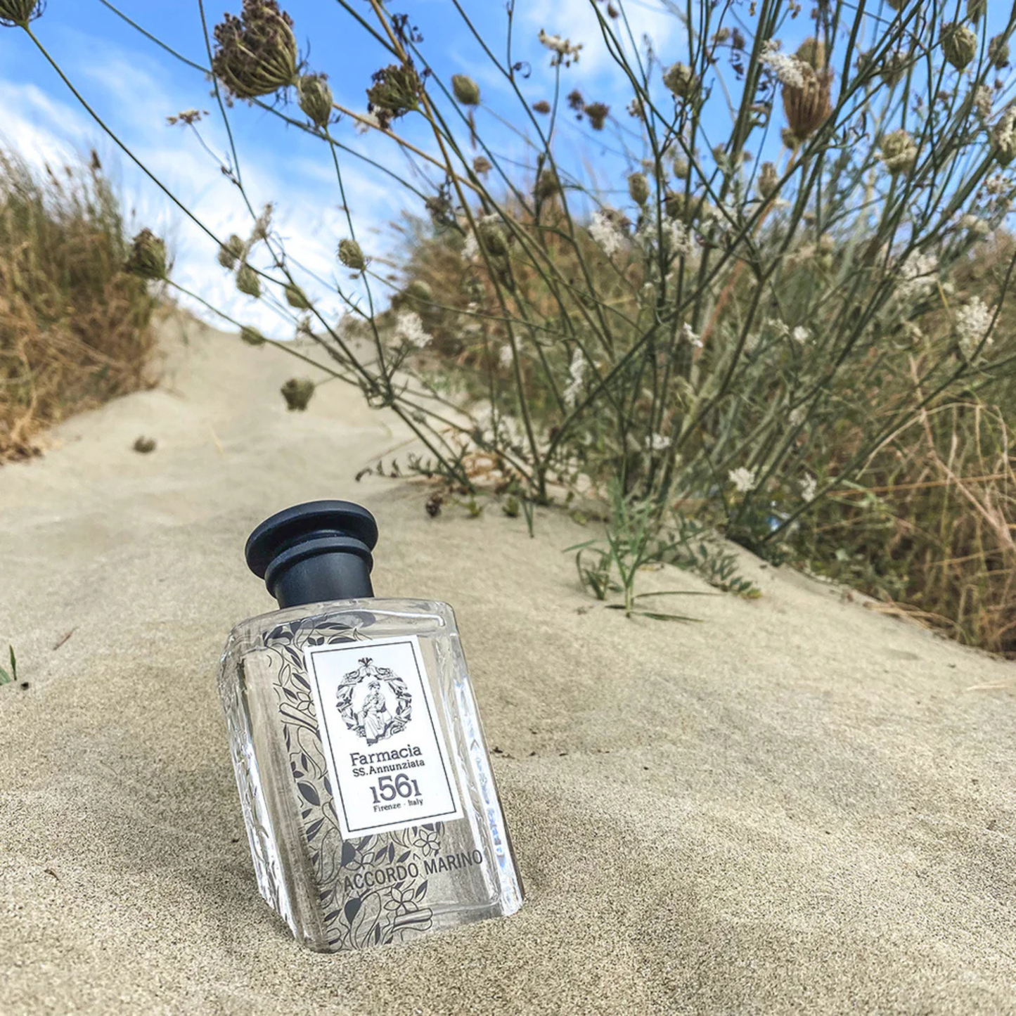 Accordo Marino <br> FARMACIA SS. ANNUNZIATA