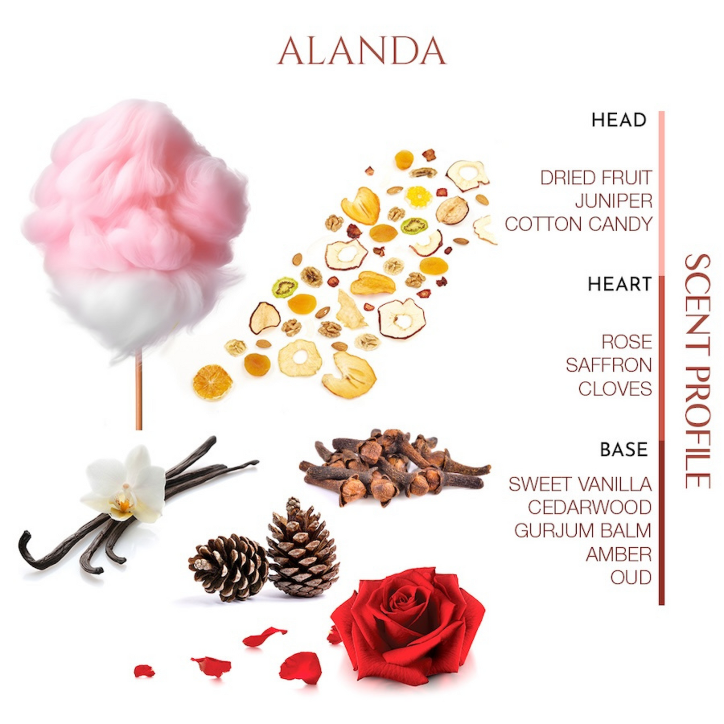 Alanda <br> TEABALATER