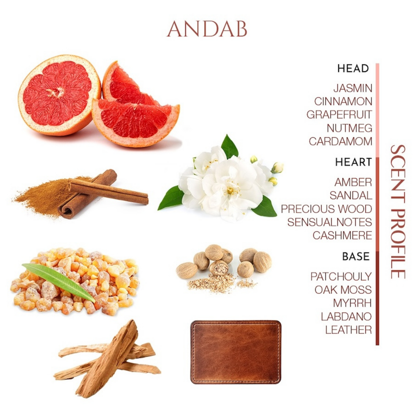 Andab <br> TEABALATER