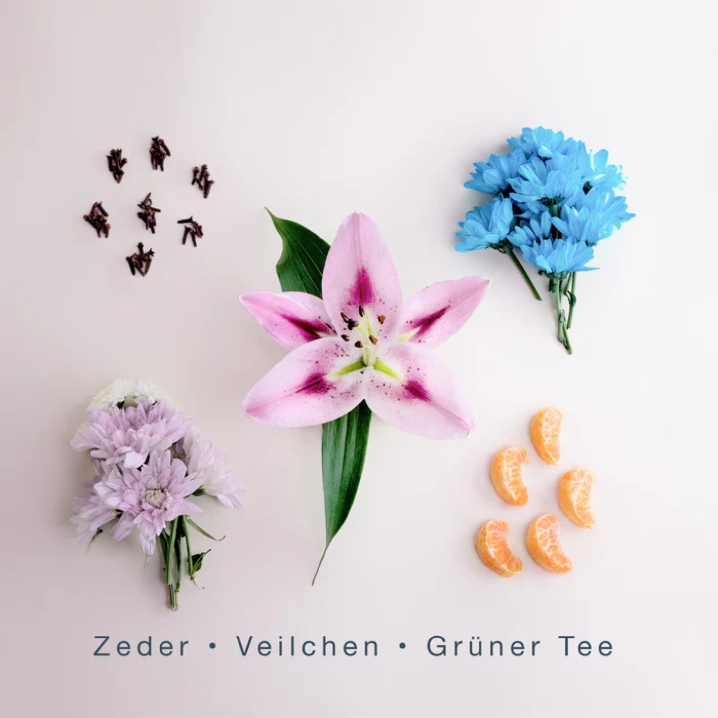 Bali Vibes <br> SCENTORIE.