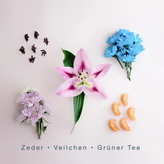 Bali Vibes <br> SCENTORIE.