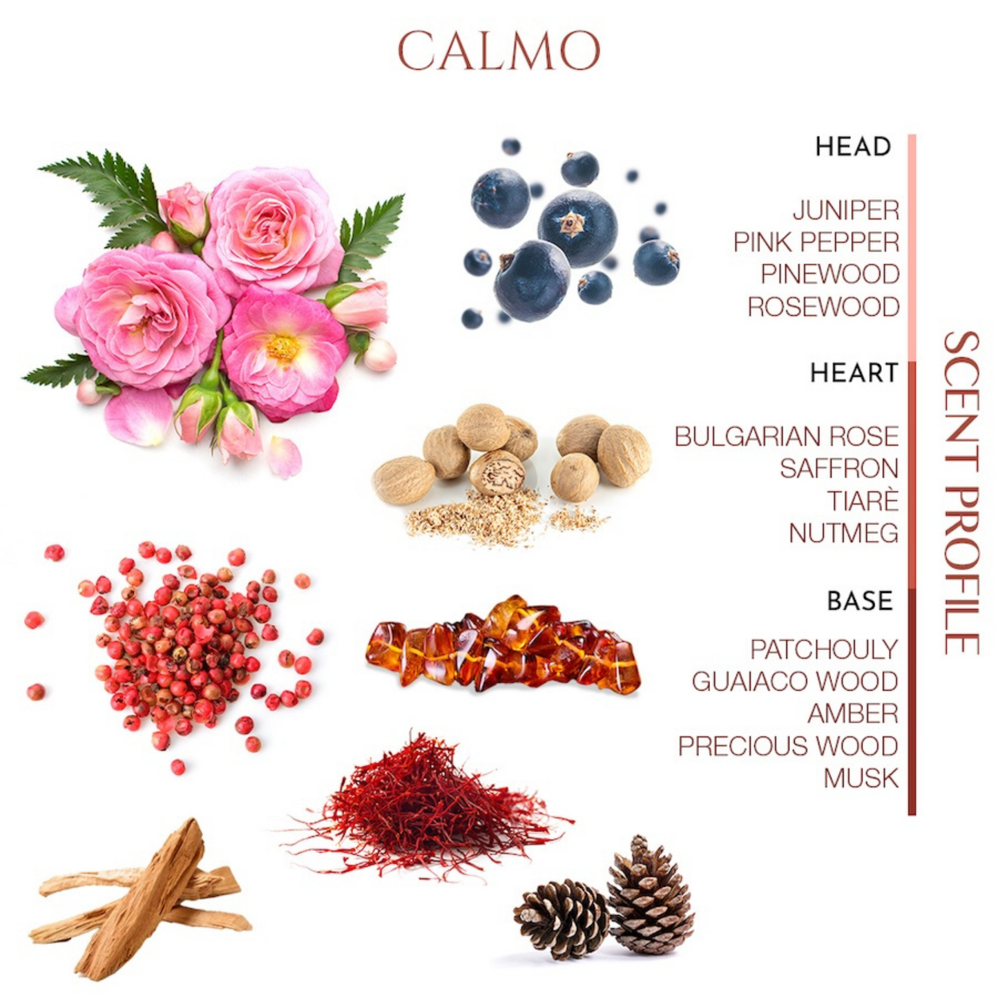 Calmo <br> TEABALATER