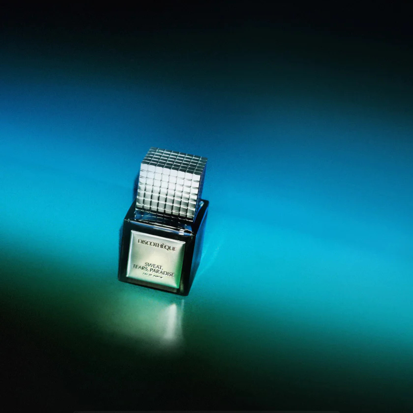 Sweat, Tears, Paradise <br> DISCOTHÈQUE