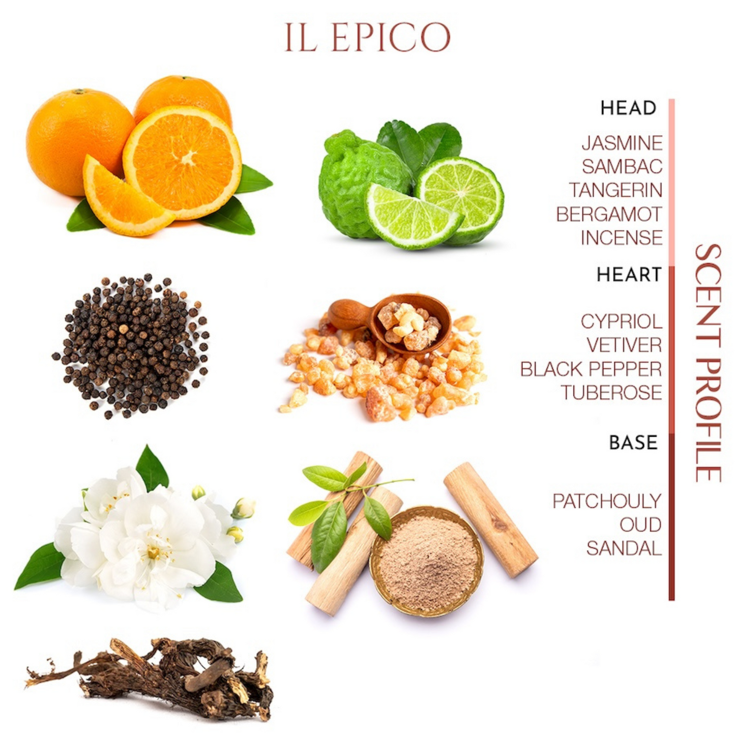 Il Epico <br> TEABALATER