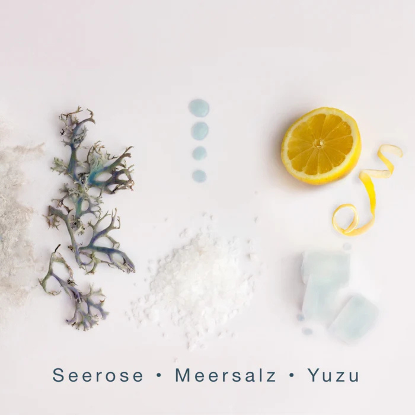 Seaside Picnic <br> SCENTORIE.