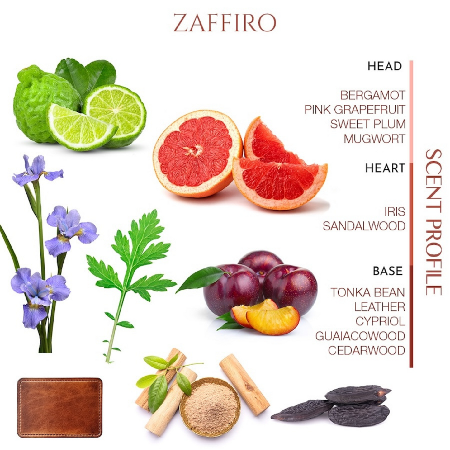Zaffiro <br> TEABALATER